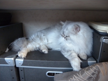 20130602194025.jpg