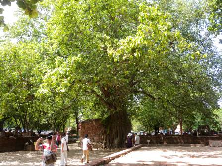 20130616181938.jpg