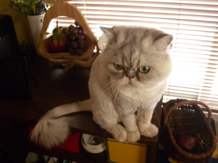 20130825232138.jpg