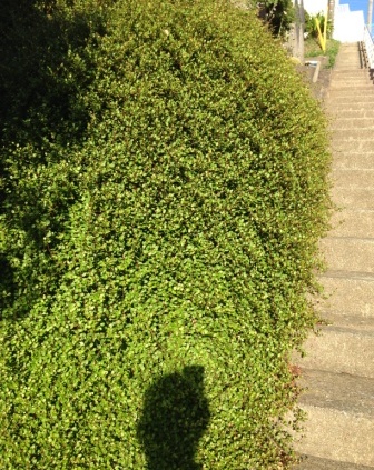 20130901184329.jpg