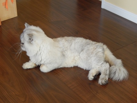 20130922122951.jpg