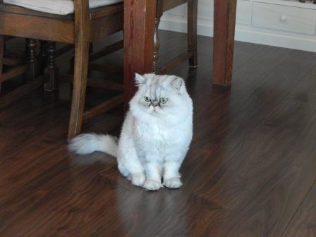 20131013182950.jpg