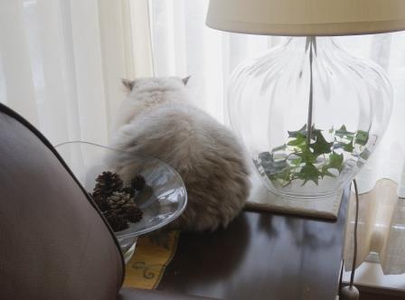 20131124143505.jpg