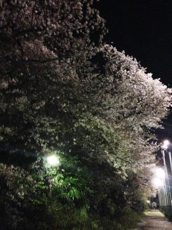 20140410073718.JPG