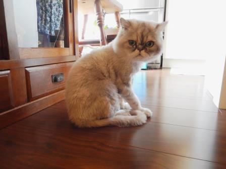 20140720231637.jpg