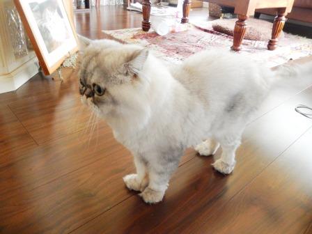 20140810172253.jpg