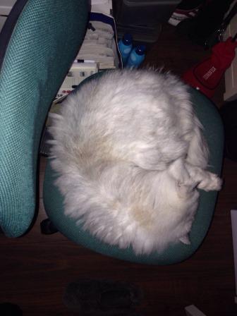 20141208011525.jpg