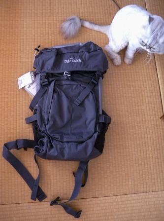 sack