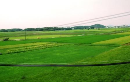 dscn0822.JPG