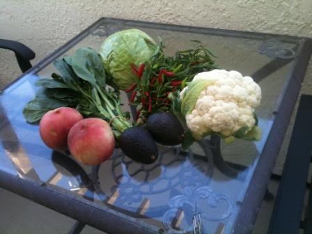 101007_veggies.jpg