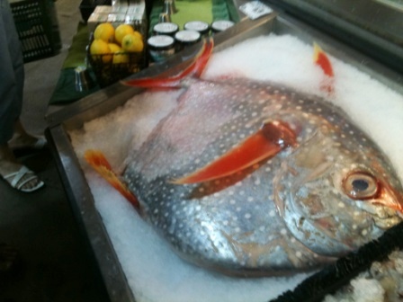 20110919_central-market-fish2.jpg