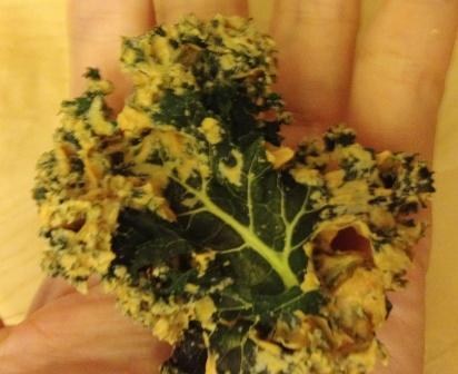 20120405_kale-chips1.jpg