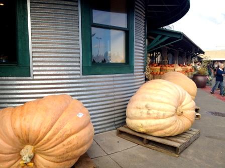 20121105_seattle-central-market-pumpkin.jpg