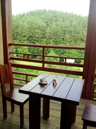 20130902_3balcony.jpg