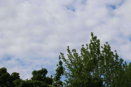 20250519_tokiwa