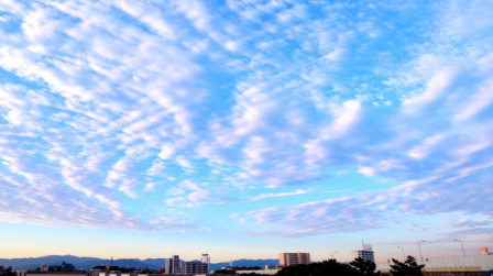 20250922_tokiwa
