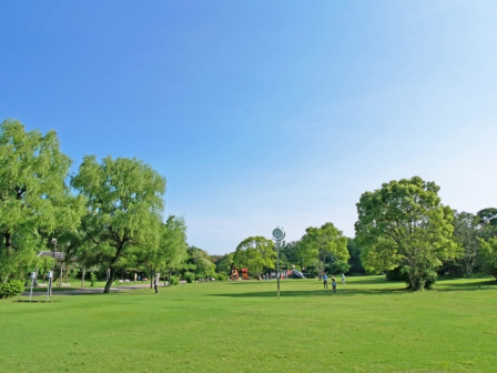 20250511_tokiwa