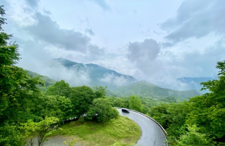 20260608_tokiwa