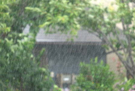 20260622_tokiwa
