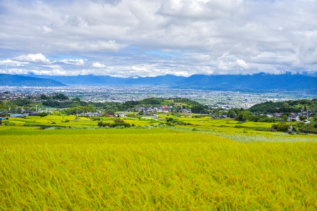 20260907_tokiwa