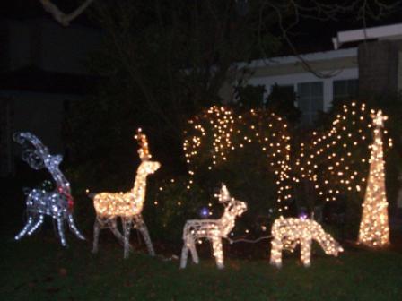 091214_christmas_lightup2.jpg 091214_christmas_lightup2.jpg