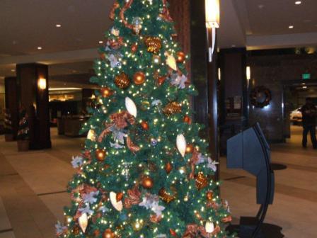 091214_christmastree.jpg 091214_christmastree.jpg