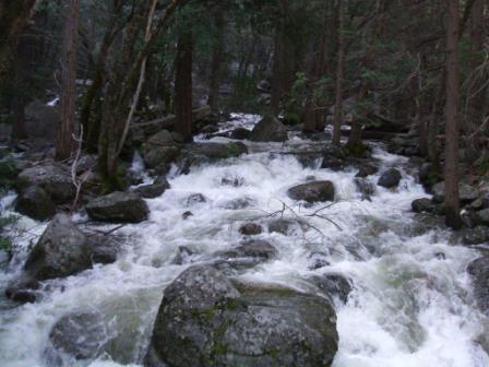 100526_yosemite_river.jpg