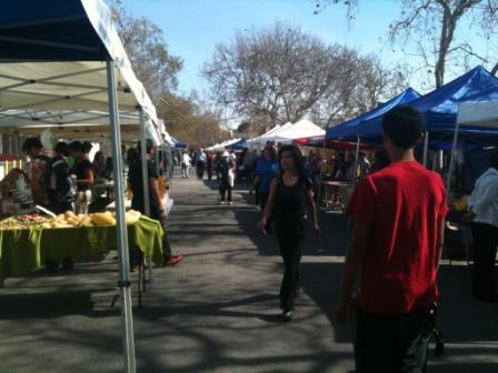 110208_farmers-market3.jpg