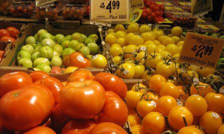 20110304_tomato.jpg