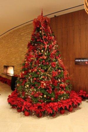 20111212-christmas-tree.jpg