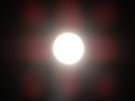 DSCN9658-5