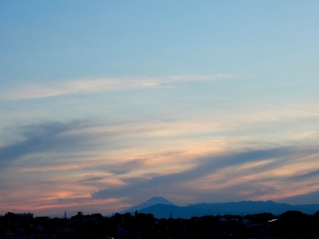 DSCN7309-6
