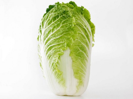 chinese-cabbage01