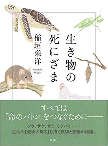 生き物の死にざま