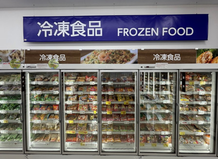 welcia-frozen