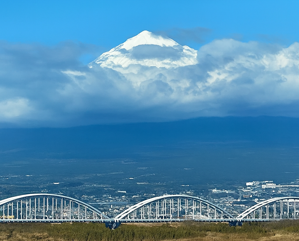 BCO.93ab6892-c6e5-4410-91df-17d4d42bda7f