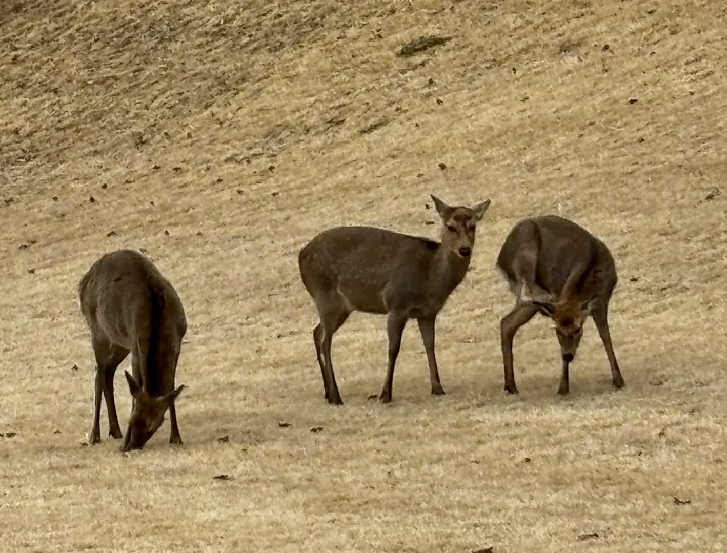 att.f4ClTM5hwzP0XfTYcZqUeolltC6na_a4FuvLa6Za96Q (002)