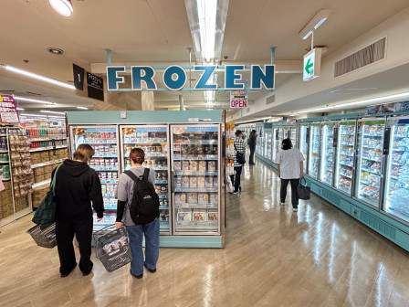 aeon-kamoi-frozen