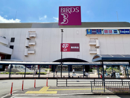 big-bird
