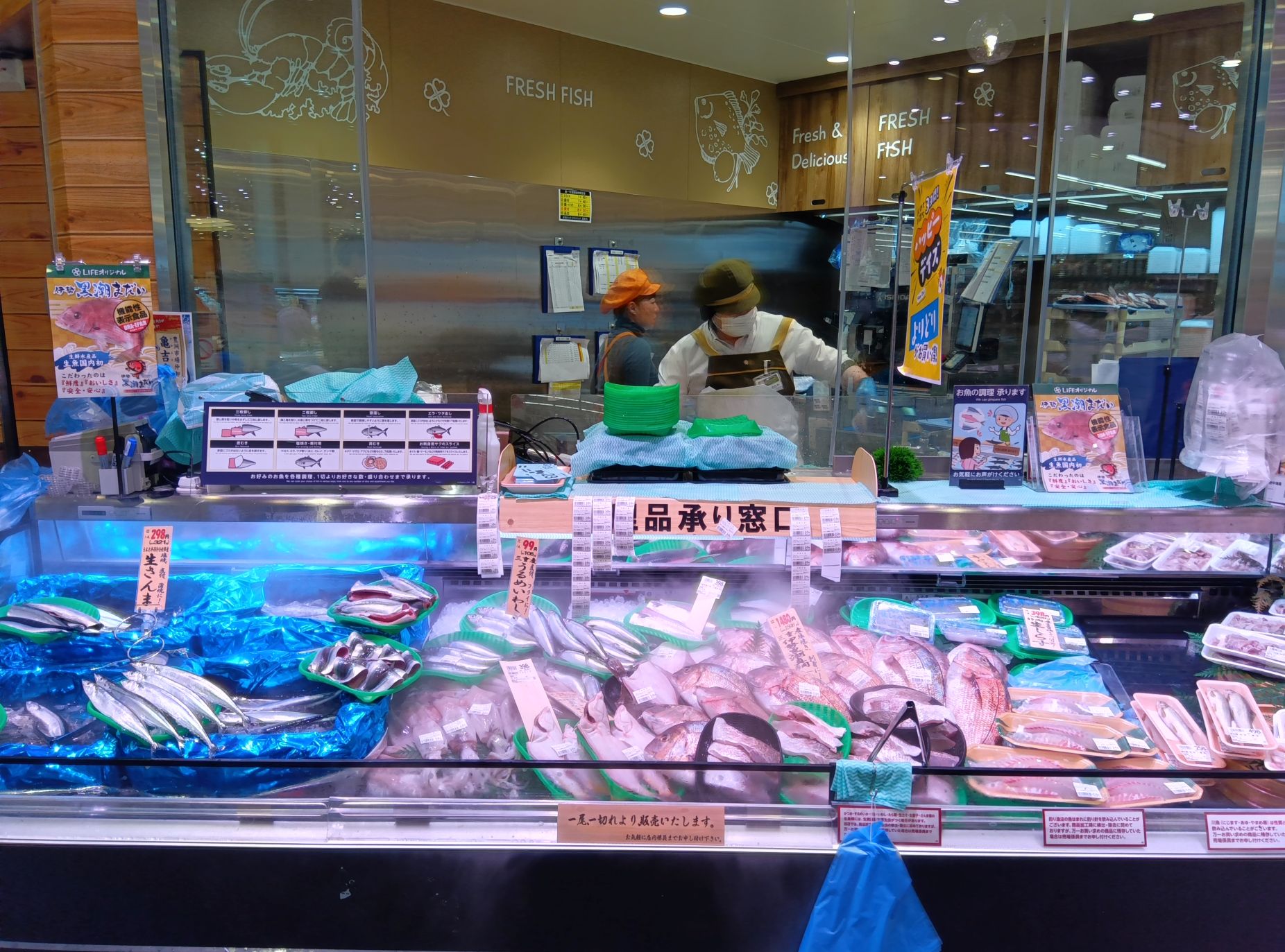 11鮮魚2